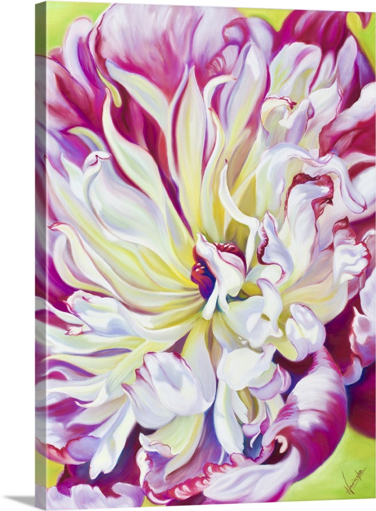 Scintillation is a big flower painting of a frilly pink peony with a white center on a lime green background.
