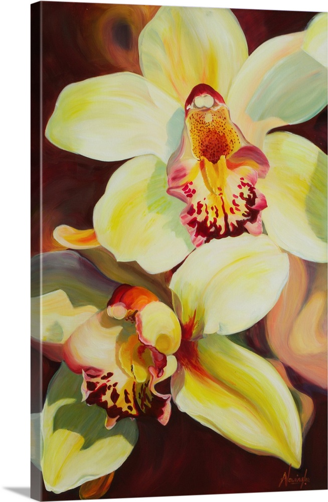 Voracity is a big flower painting of creamy yellow orchids with rich wine burgundy markings sitting on a deep burgundy bac...