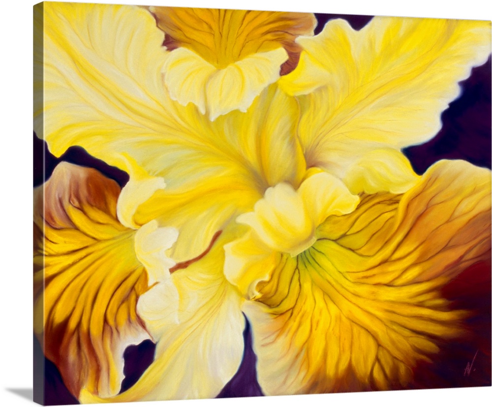 Welcome is a big flower painting of a deep yellow iris center with auburn markings.