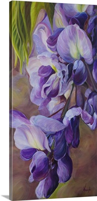 Wistfulness Wisteria