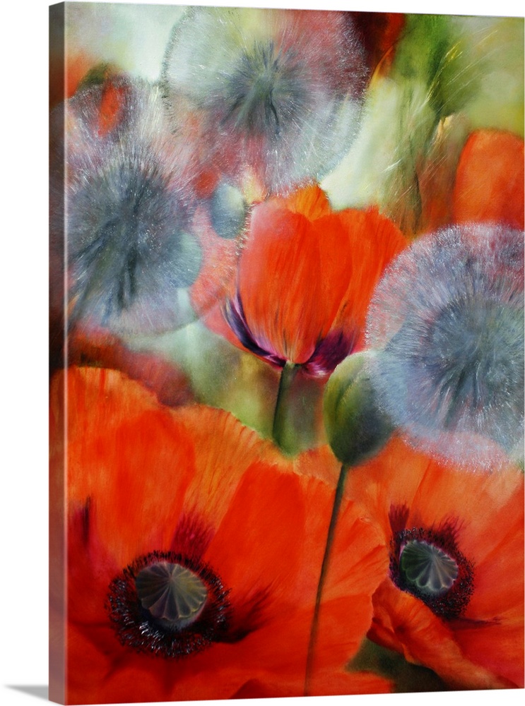 Poppies Meet Dandelions