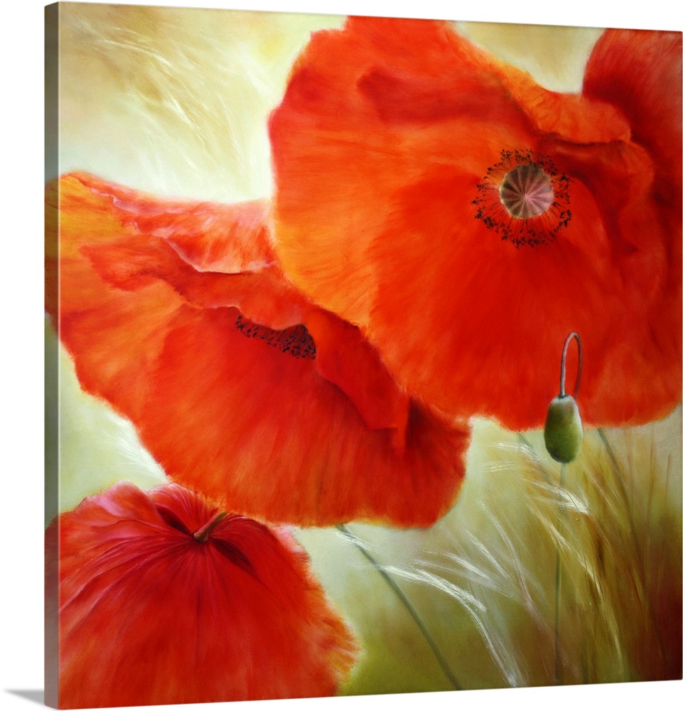 Three Poppies