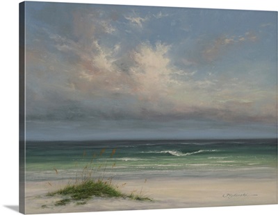 A Passing Sky