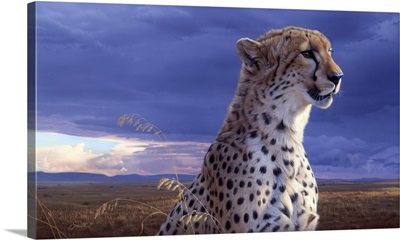 African Tempest - Cheetah
