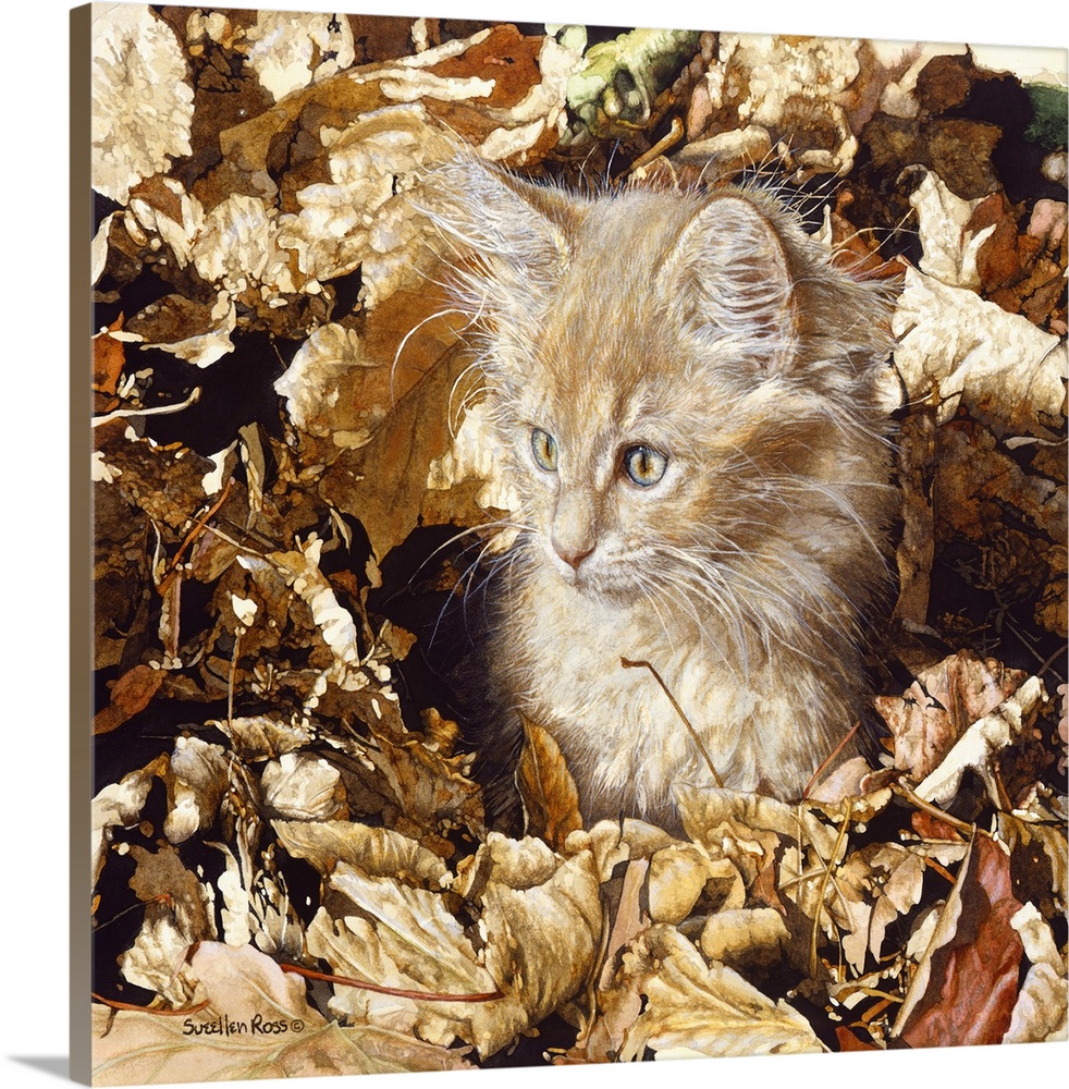 An orange tabby kitten playing in the autumn leaves.