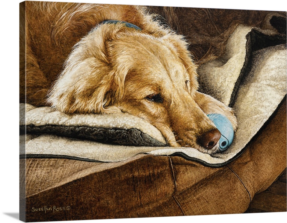A yellow Labrador laying on a couch with a blue ball.