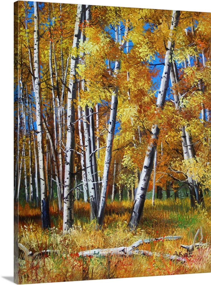 Aspen