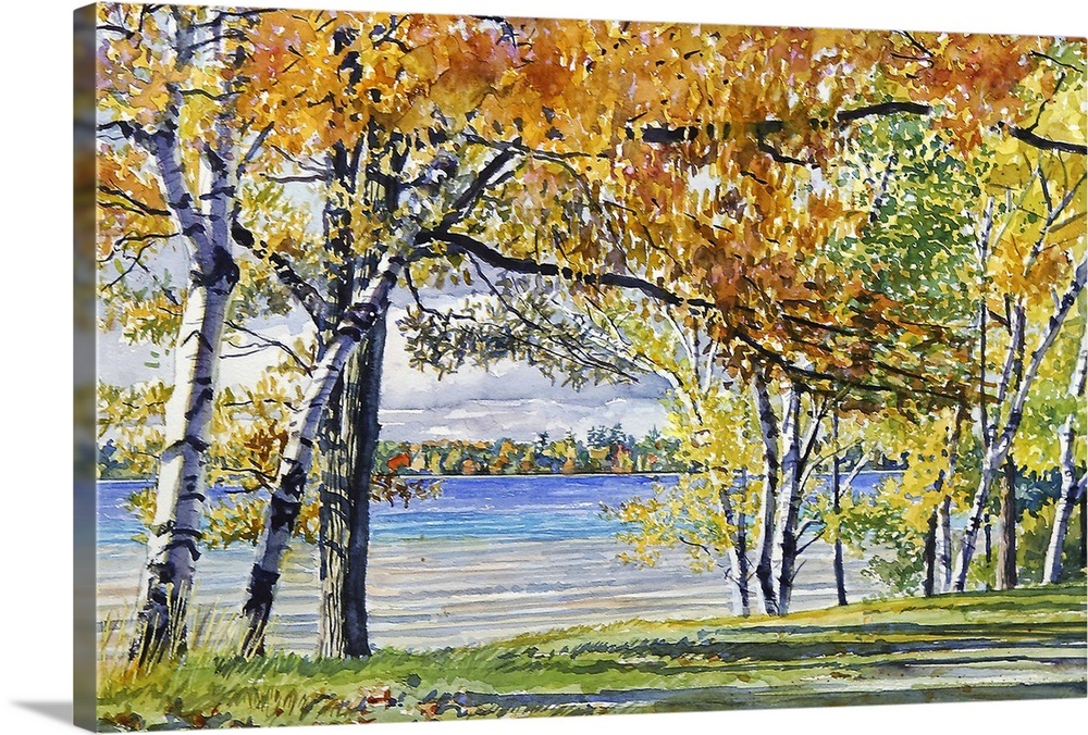 Autumn Birch Trees Wall Art, Canvas Prints, Framed Prints, Wall Peels