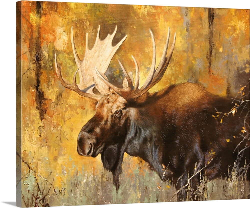 Autumn Moose Study #1