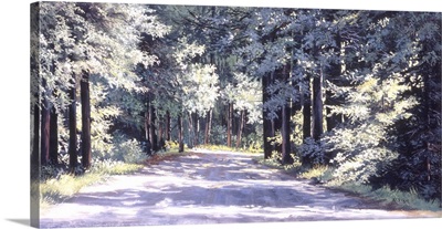 Back Road