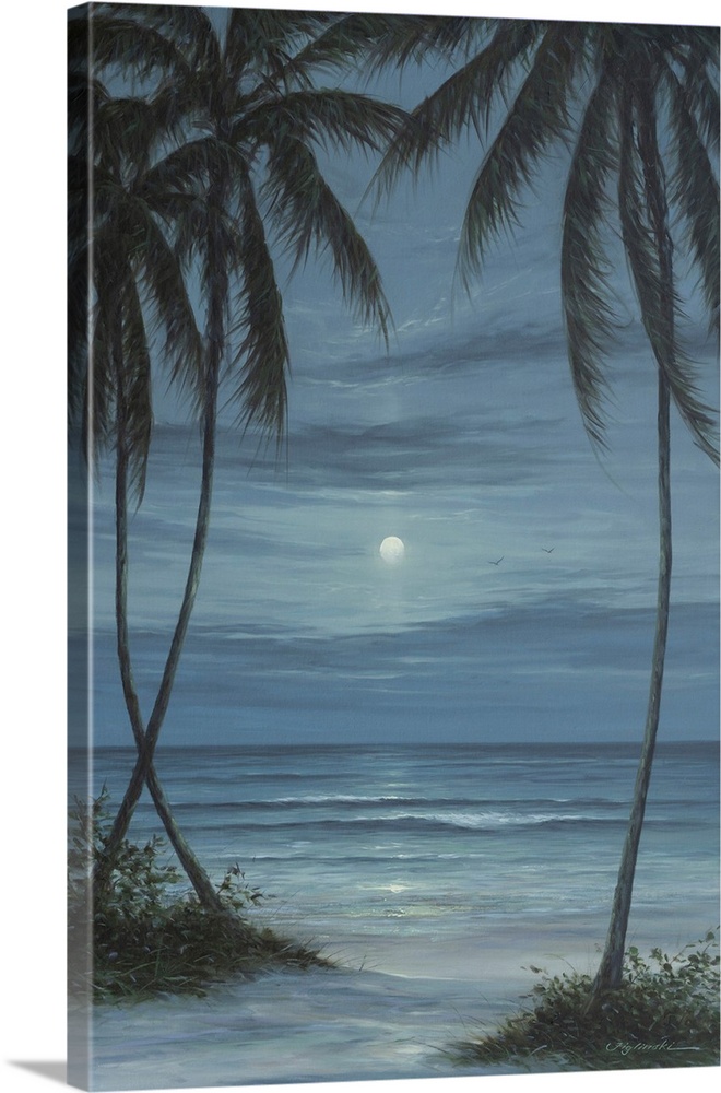 Calm In The Night