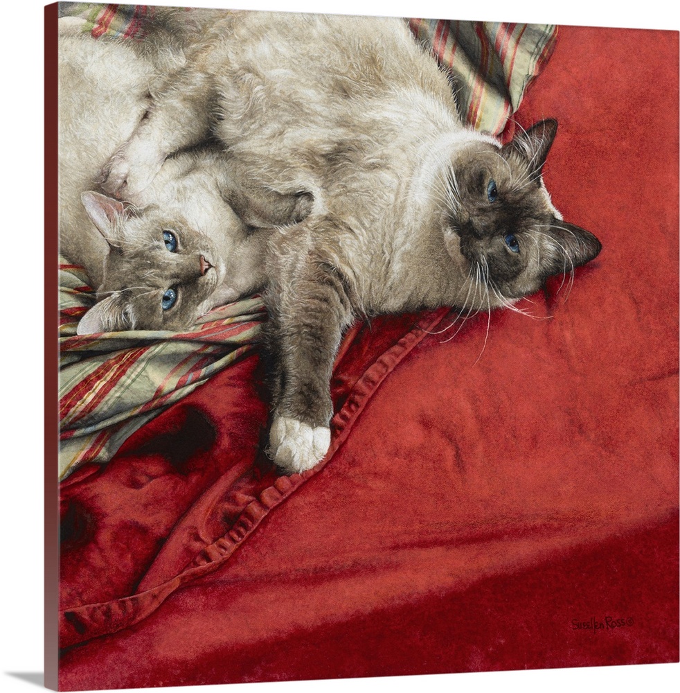 Two cats laying on a red blanket.
