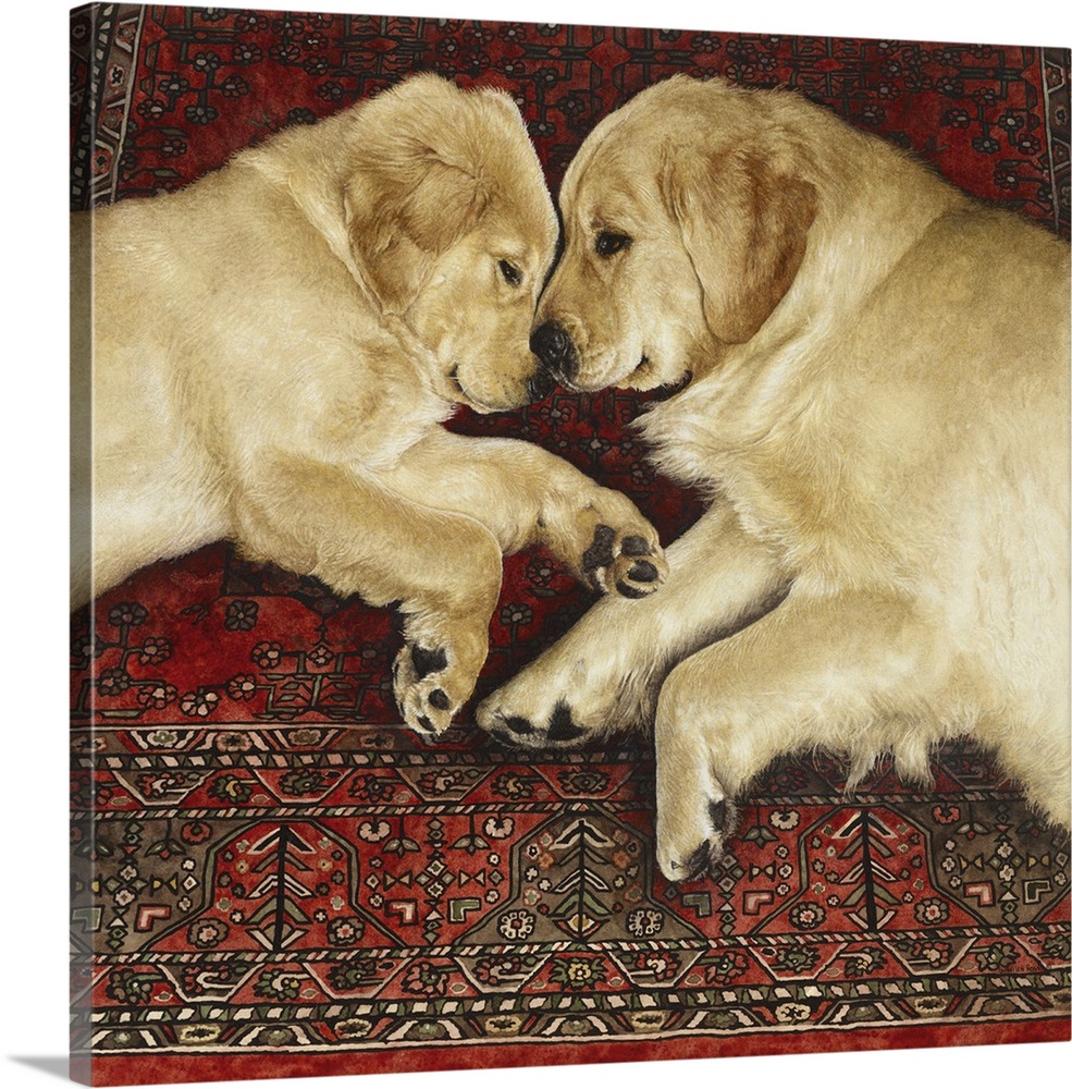 An image of two yellow Labradors facing each other while laying of a rug.