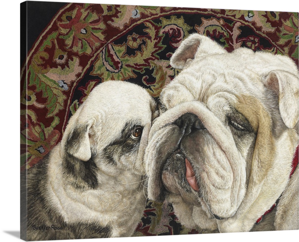 An image of a British bulldog and puppy on a rug.