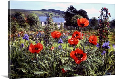 Cottage Garden