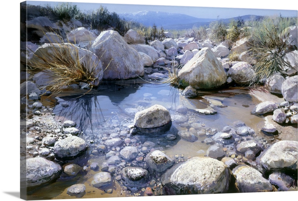 Desert Foothills