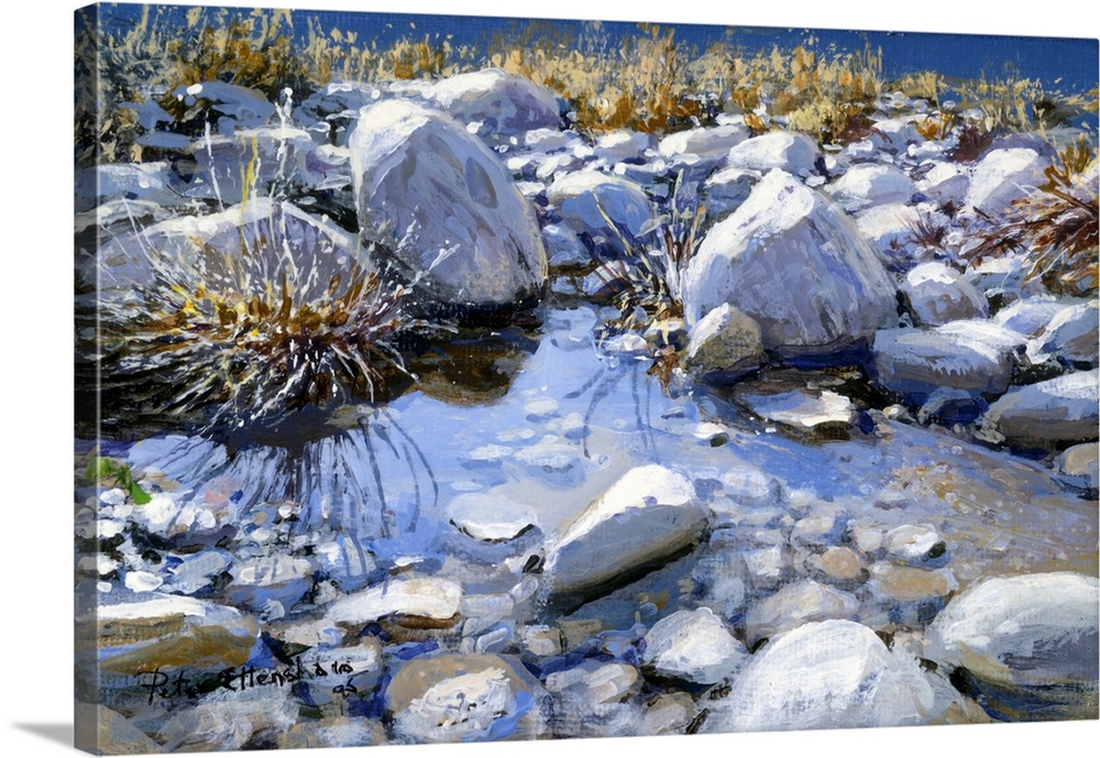 Desert Foothills Pool