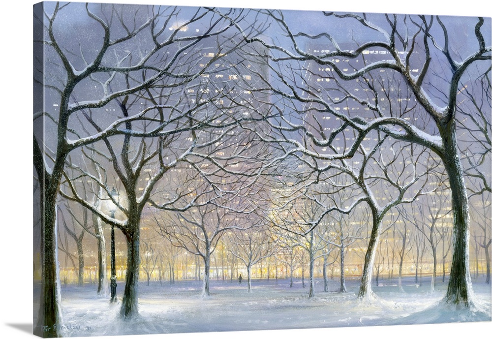 Evening Central Park