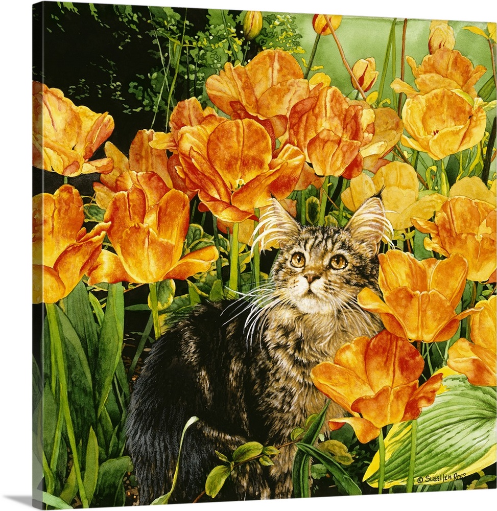 A vibrant image of a kitten sitting among colorful orange and yellow flowers.