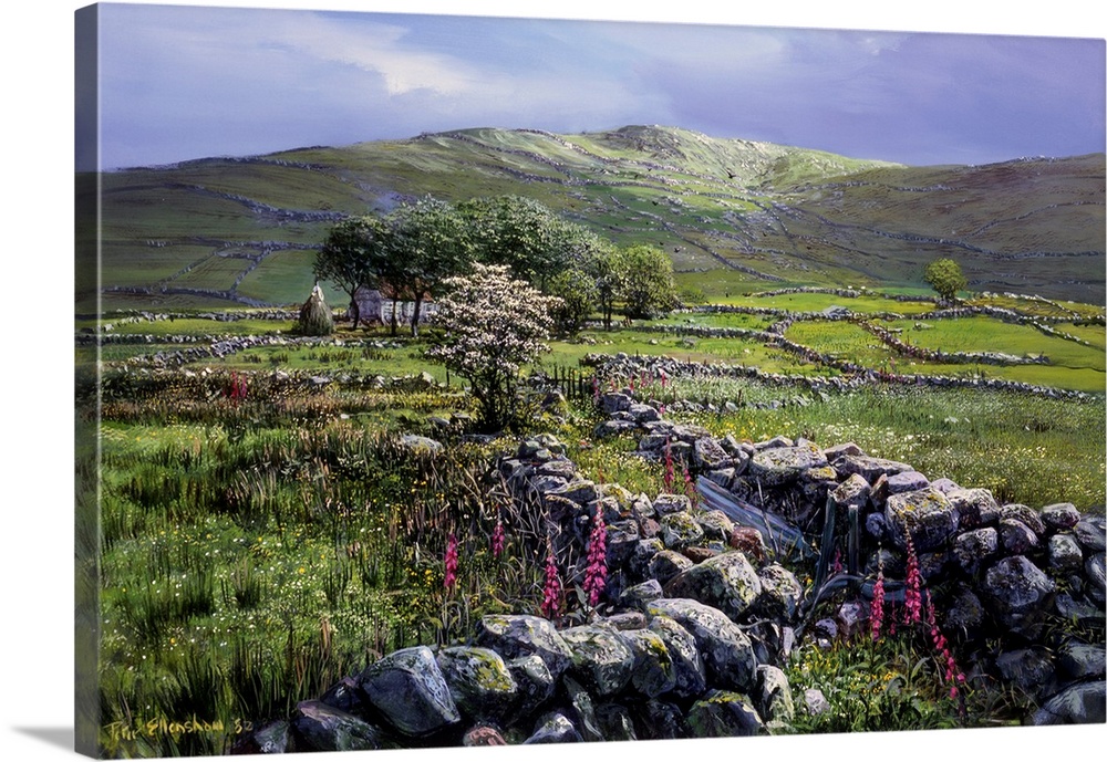 Fox Hill, County Mayo