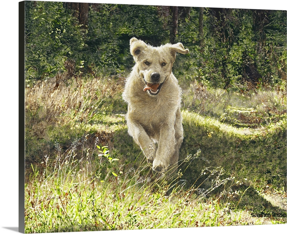 Horizontal image of a lively dog running through the woods.