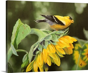 Gold On Gold image thumbnail