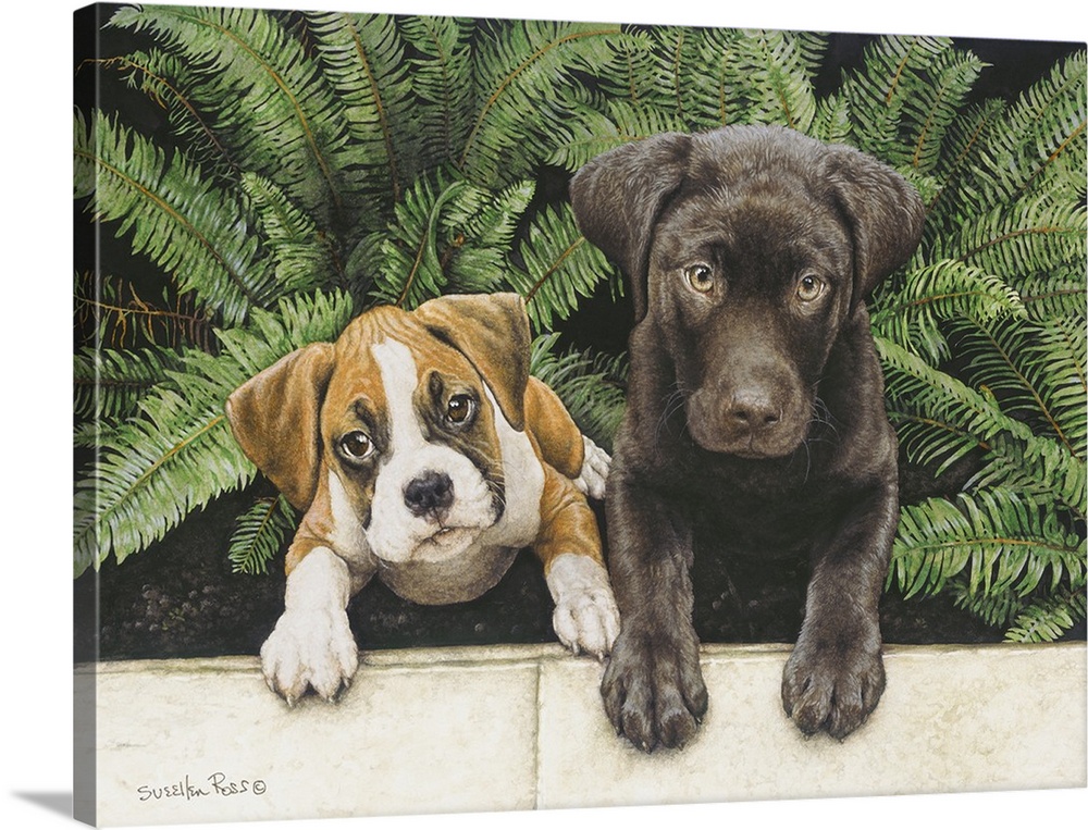 An image of two dogs sitting in a bed of ferns.