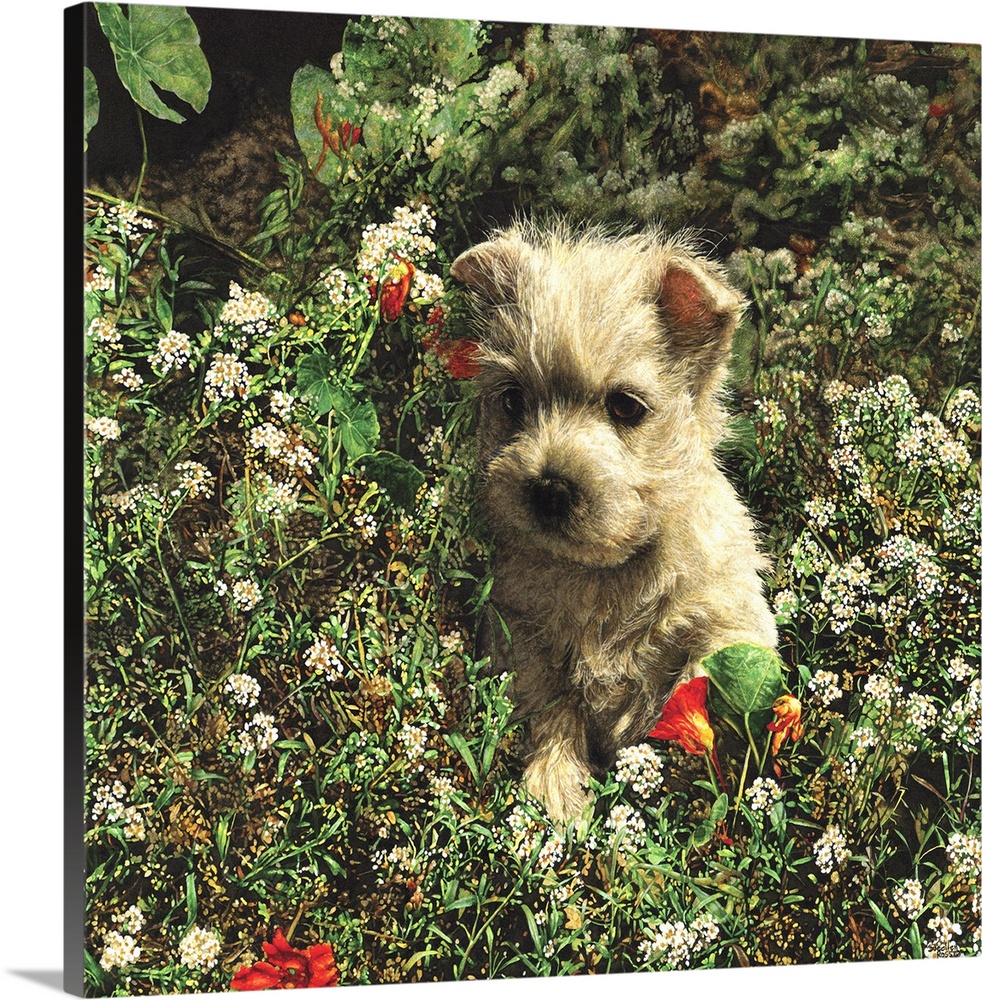 An image of a puppy laying in a bed of wild flowers.