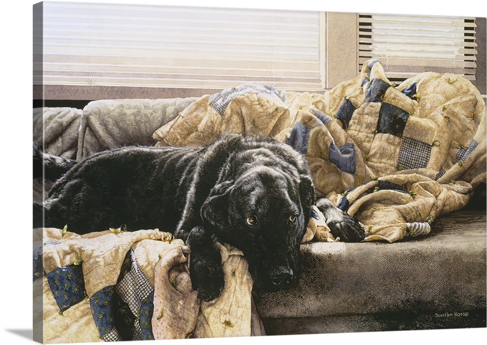 A horizontal image of a black dog laying on a couch covered with a quilt.