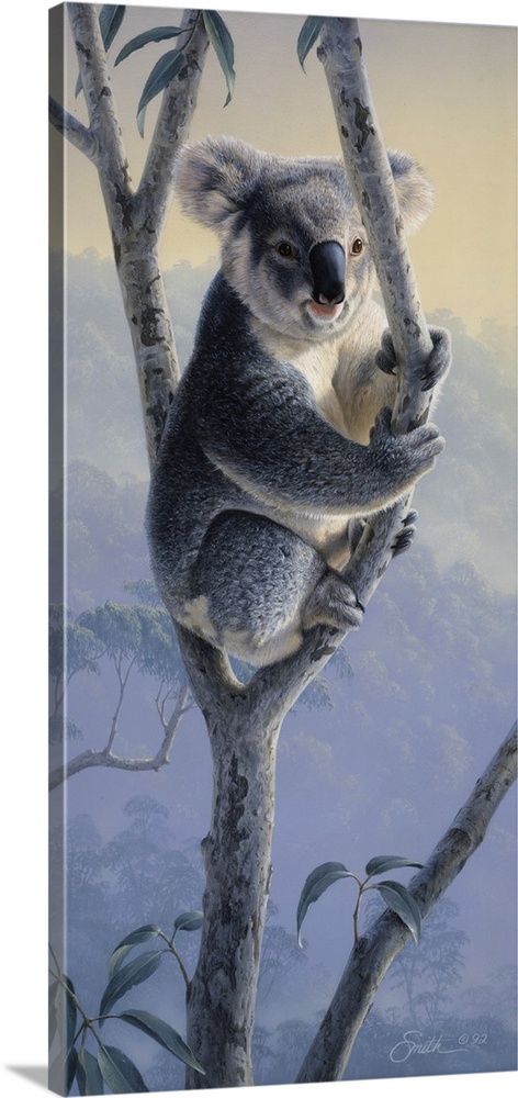 Premium Photo  Colorful koala painted illustration on a solid