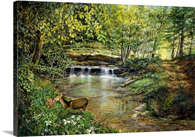 Landscape with Deer