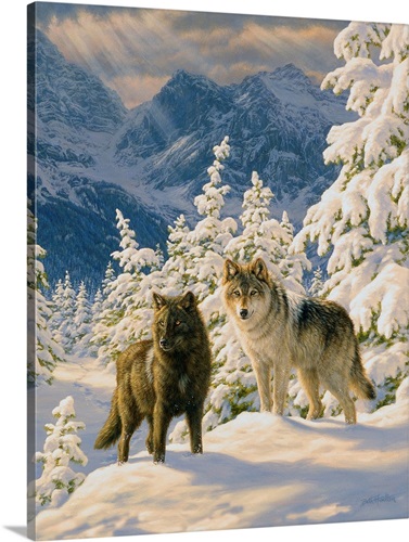 Mountain Majesty - Wolves | Great Big Canvas