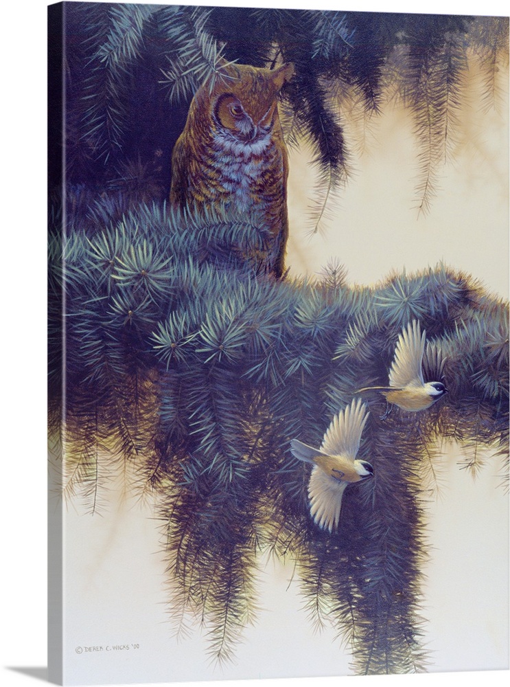 On Patrol - Great Horned Owl