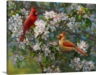 Orchard Romance - Cardinals
