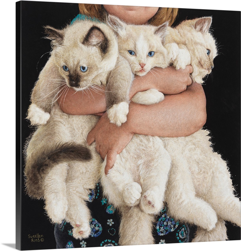 An adorable image of a child holding three white fluffy kittens.