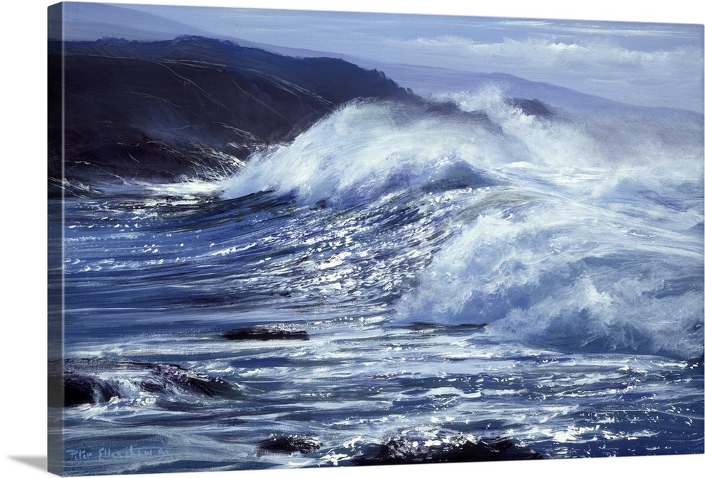 Point Lobos, California