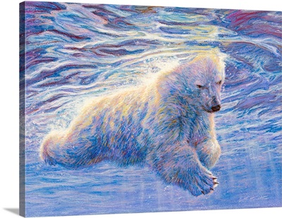 Polar Swim - Polar Bear