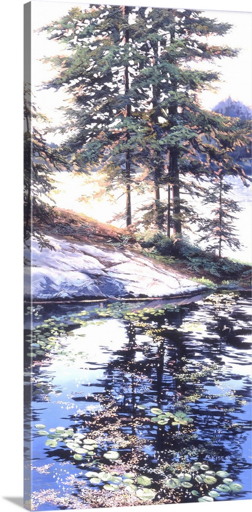 Reflections