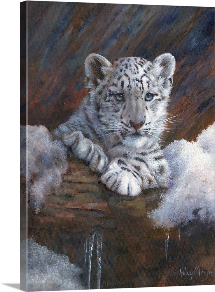 Snow Leopard Cub