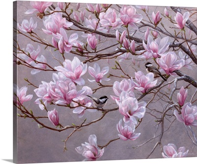 Spring Blossoms - Chickadees And Magnolias