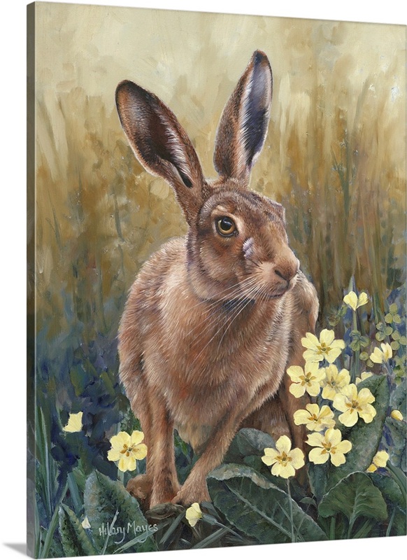 Graph For Springhare Spring Hare | Great Big Canvas