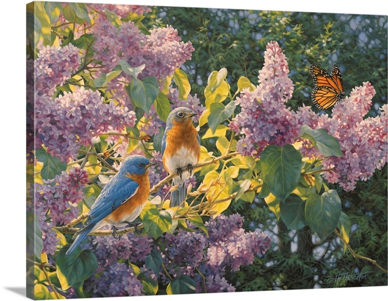 Spring Interlude - Eastern Bluebird | Great Big Canvas