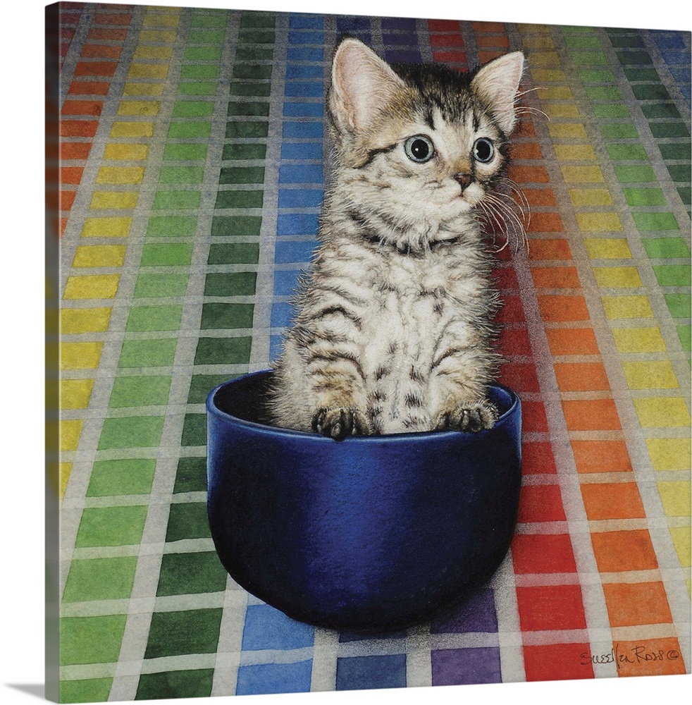 A curious kitten sitting in a small bowl against a colorful tiled background.