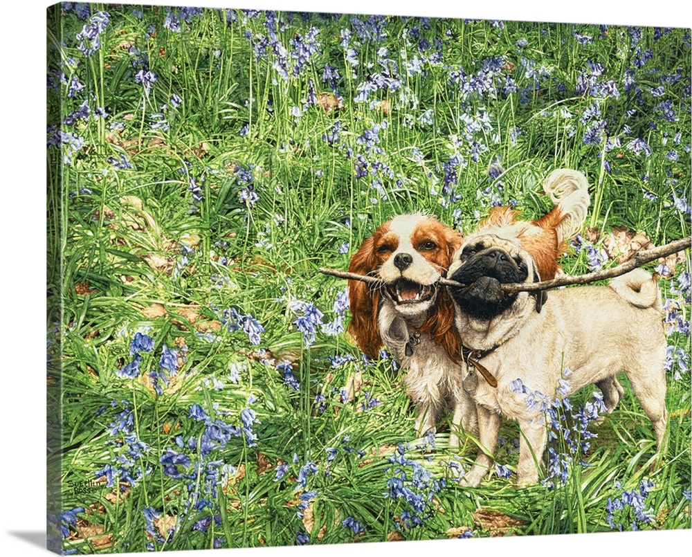 A cute image of two dogs sharing a stick in a field of wild flowers.
