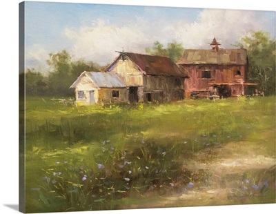 Summer Barns