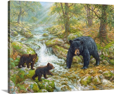 Summer's Picnic - Black Bear Family