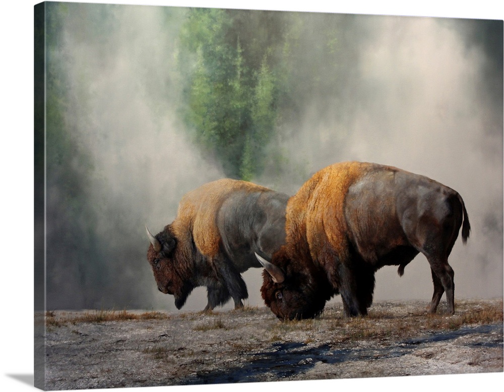 The Boys Of Yellowstone