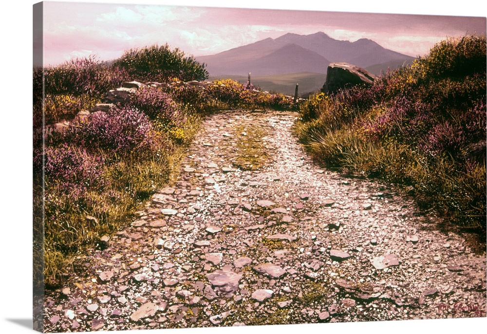 The Reeks, Kerry