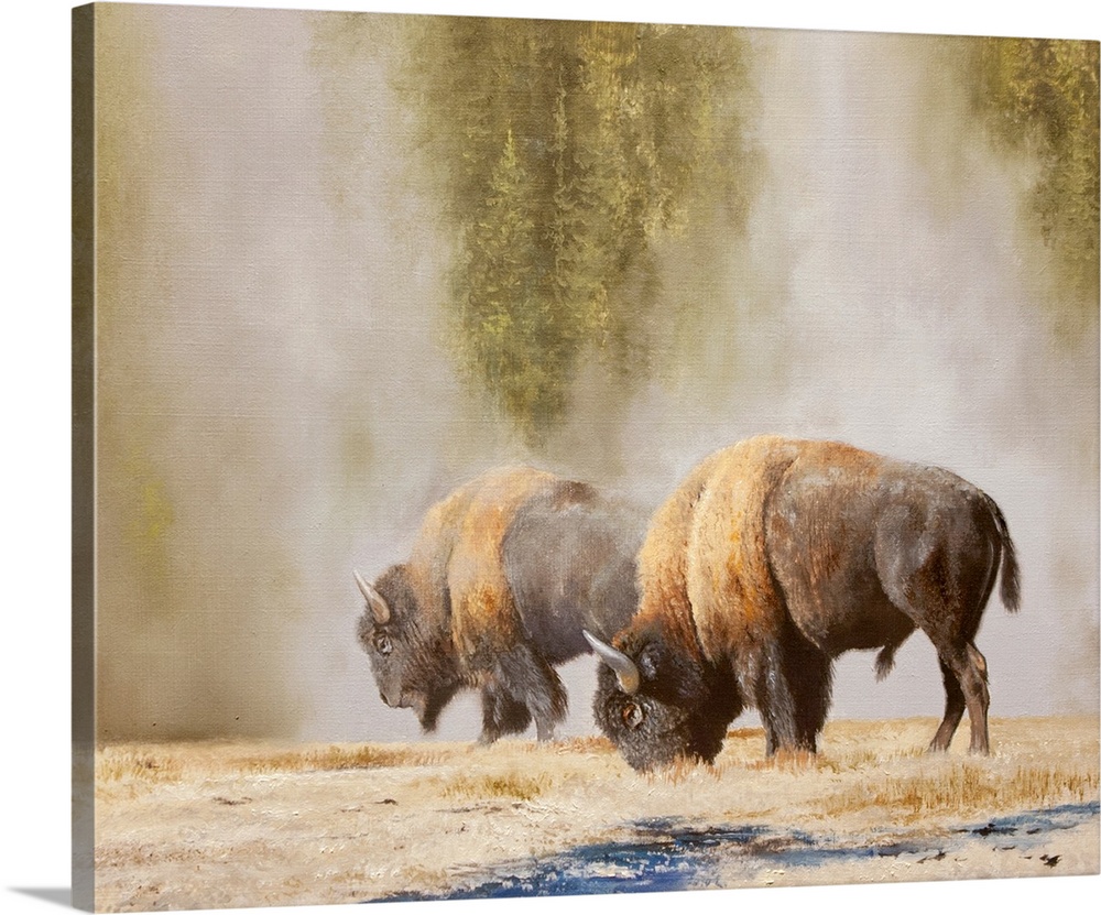 The Yellowstone Experience - Study #1