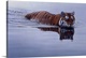 image thumbnail of Tiger In Water